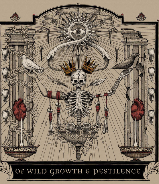 Jan 03, 2020 Leveler / Wall of the Fallen / Vital Signs at Summit