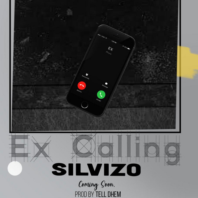 Silvizo Official Spotify