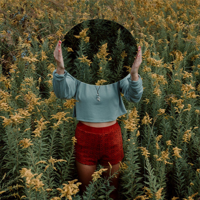 Sequoia Sequoia genres, songs, analysis and similar artists Chosic