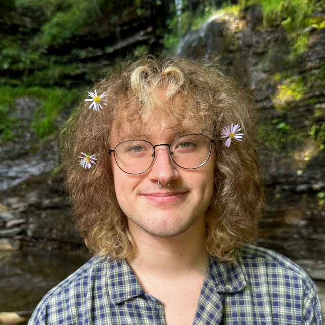 Real Fake Flowers Spotify