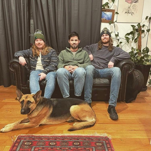 Rental Snake Spotify