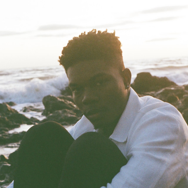 Lani Rose genres, songs, analysis and similar artists Chosic