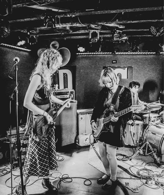 Flowers For The Dead Concert & Tour History (Updated for 2024