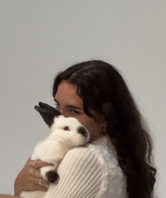 Nov 15, 2024 Desert Air Music Festival 2024 at Palm Springs Air Museum