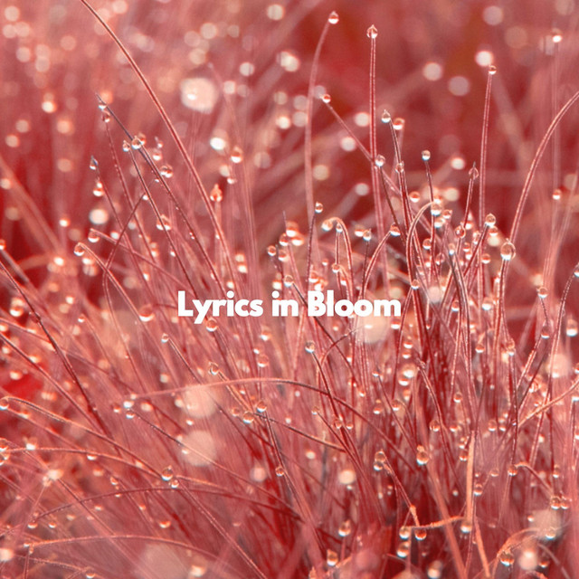 Lyrics in Bloom Album by Sunday Brunch Music Spotify