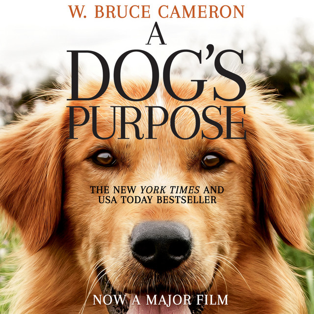 Chapter 9 A Dog's Purpose A Dog's Purpose, Book 1 song and lyrics
