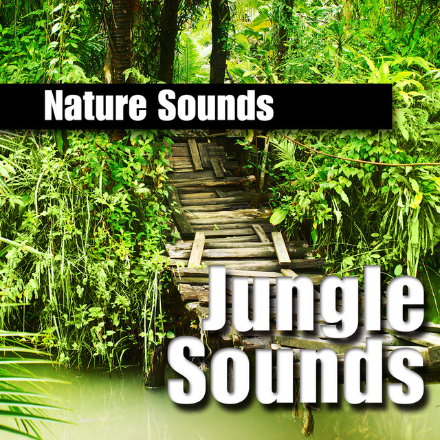 Jungle Sounds Album by Nature Sounds Spotify