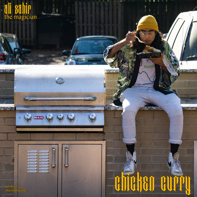 Chicken Curry song and lyrics by Ali Sahir Spotify
