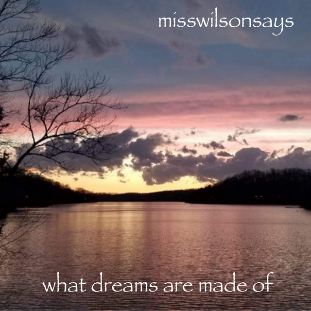 what dreams are made of Single by misswilsonsays Spotify