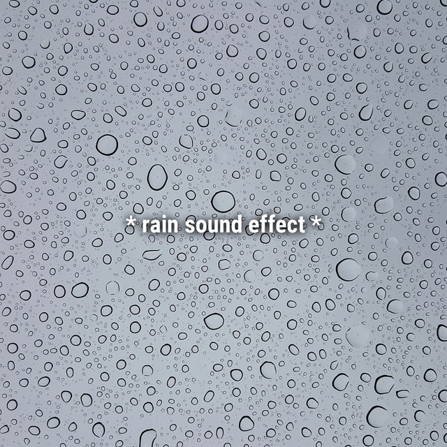 rain sound effect Album by The Hollywood Edge Sound Effects Library