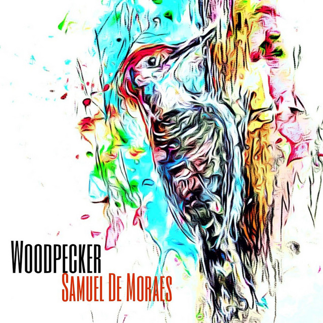 Woodpecker Single by Samuel de Moraes Spotify
