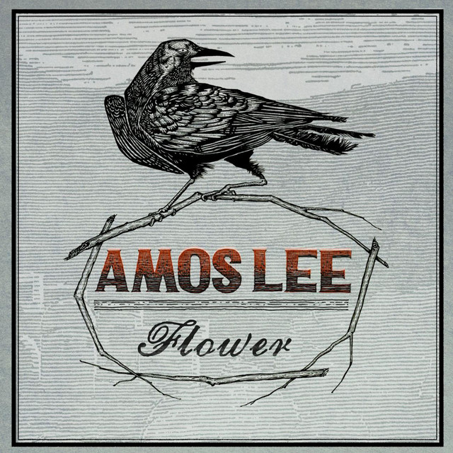 Flower Single by Amos Lee Spotify