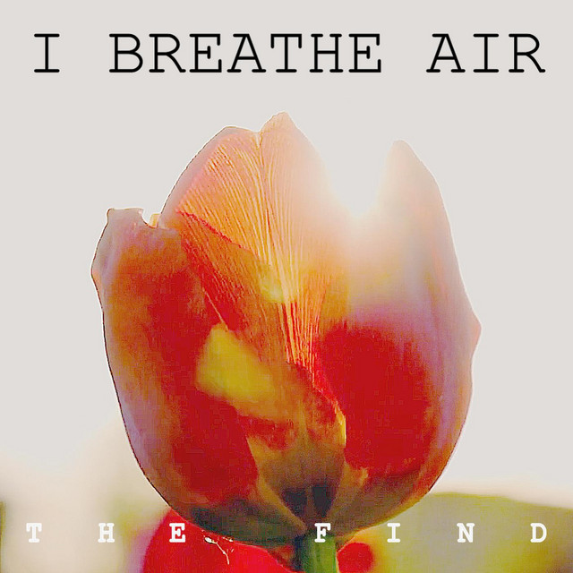 I Breathe Air Single by The Find Spotify