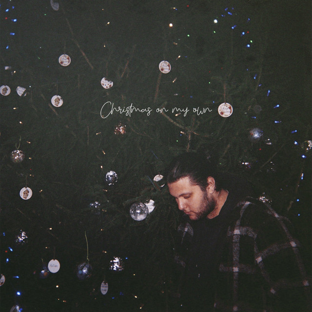 Christmas On My Own - song and lyrics by Lvr, She BethZienna | Spotify