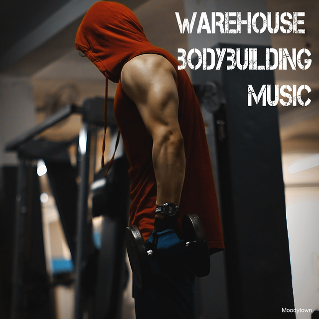 Warehouse Bodybuilding Music Compilation by Various Artists Spotify