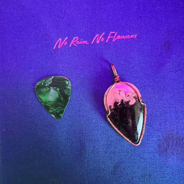 No Rain, No Flowers Album by ForrestWith2Rs Spotify