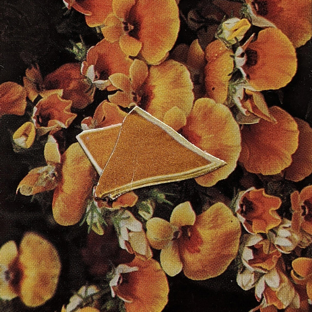 Oranges and Lemons Album by Picnic Day Spotify