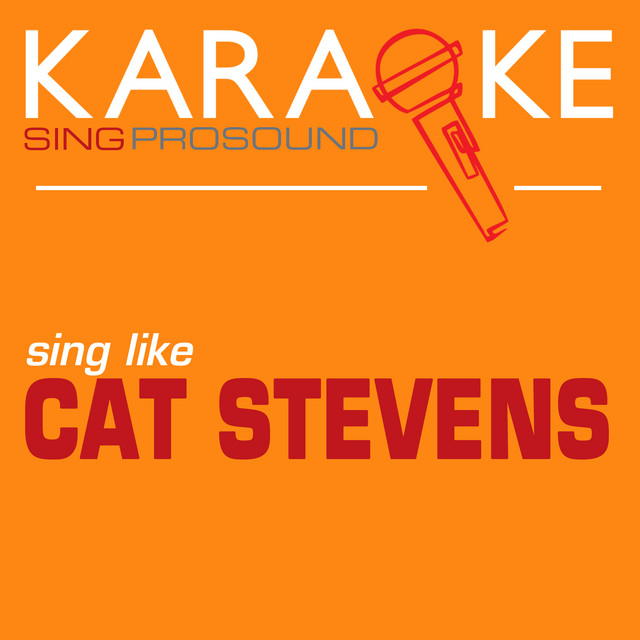 Karaoke in the Style of Cat Stevens Album by ProSound