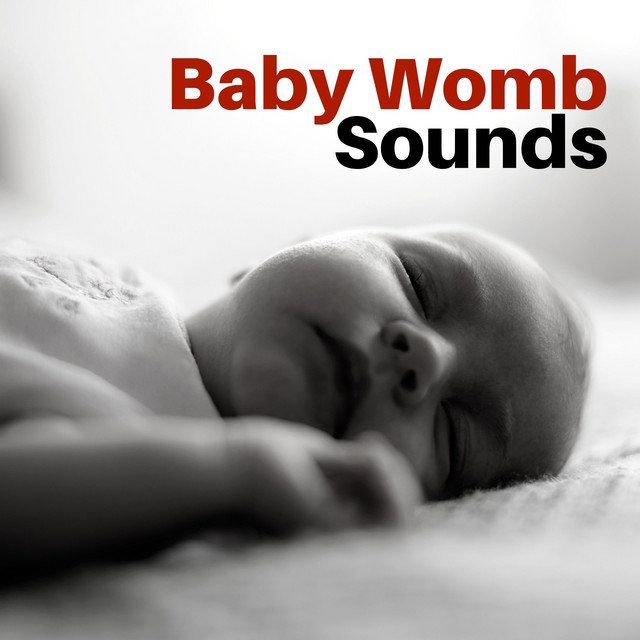 Baby Womb Sounds Single by Womb Sound Spotify