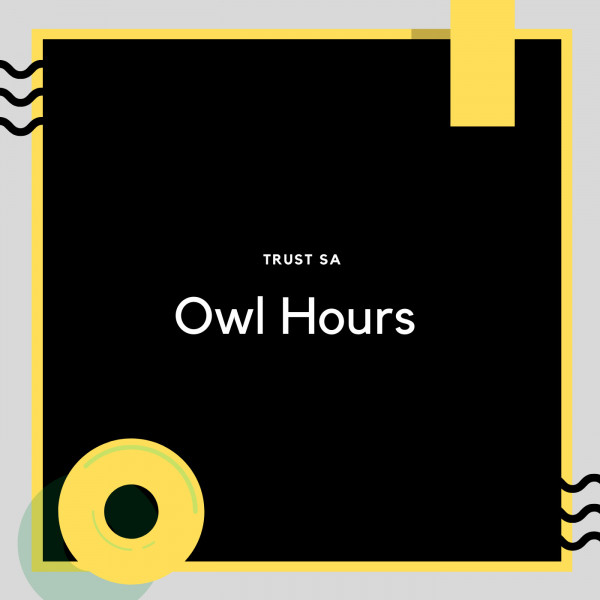 Owl Hours Single by Trust SA Spotify