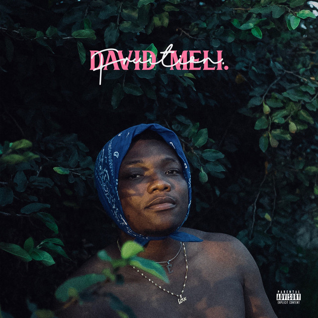 Fruition Album by David Meli Spotify