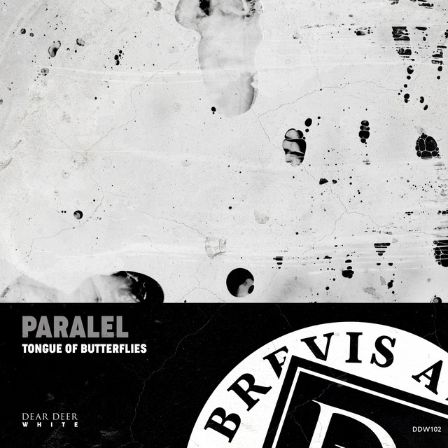 Black Tears song and lyrics by Paralel Spotify