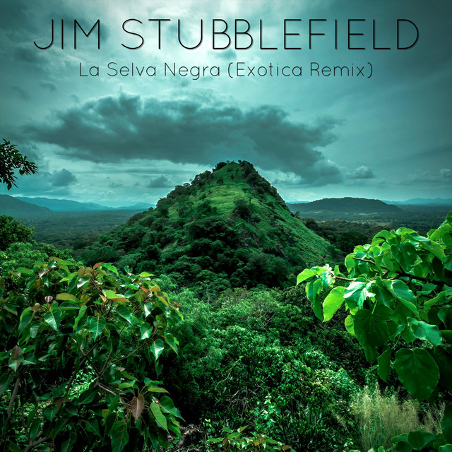 La Selva Negra (Exotica Remix) Single by Jim Stubblefield Spotify