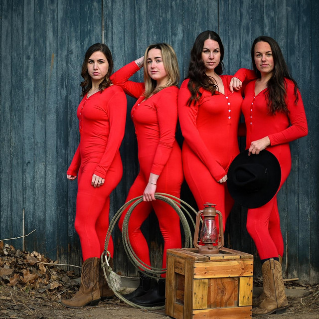 The Calico Stray Spotify