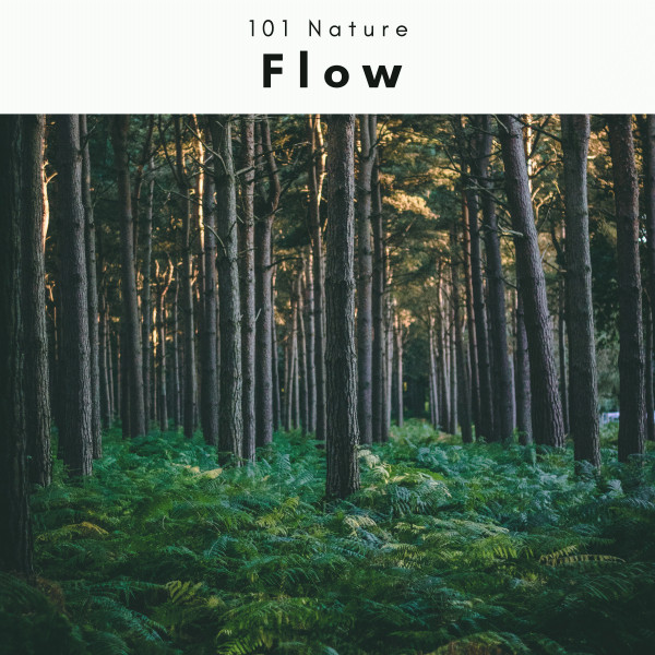 4 Flow Album by 101 Nature Spotify