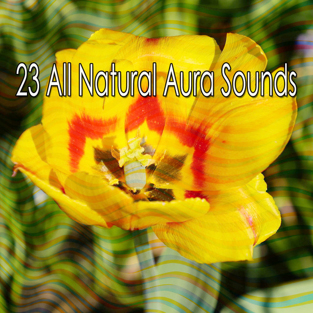 Uplifted By Nature song and lyrics by Pro Sound Effects Library Spotify