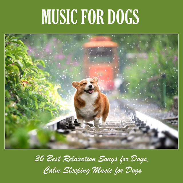 Music for Dogs 30 Best Relaxation Songs for Dogs, Calm Sleeping Music