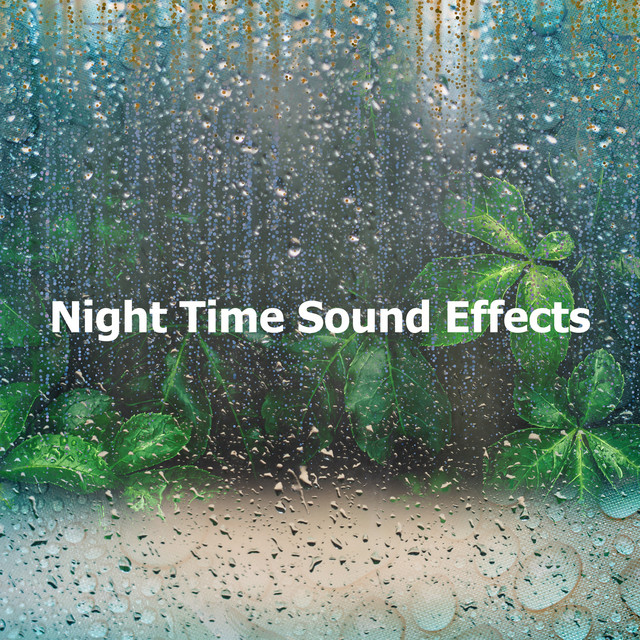 Night Time Sound Effects Album by Night FX Spotify