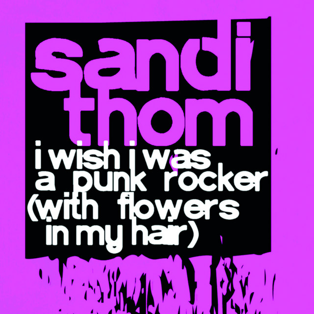 I Wish I Was a Punk Rocker (With Flowers in My Hair) song and lyrics
