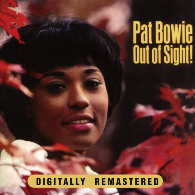 The Sounds of the Night song and lyrics by Pat Bowie Spotify
