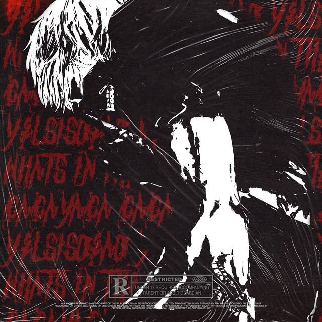 WHAT IN THE BAG? Single by Yelsisdead Spotify