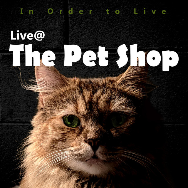 to the Pet Shop Live song and lyrics by In Order to Live