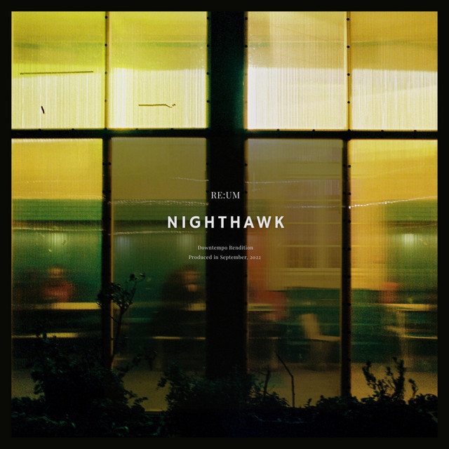 Nighthawk Single by Reum Spotify