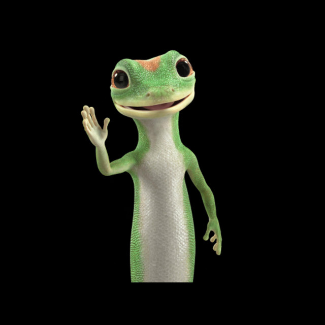 Geico Single by Dash Stokes Spotify