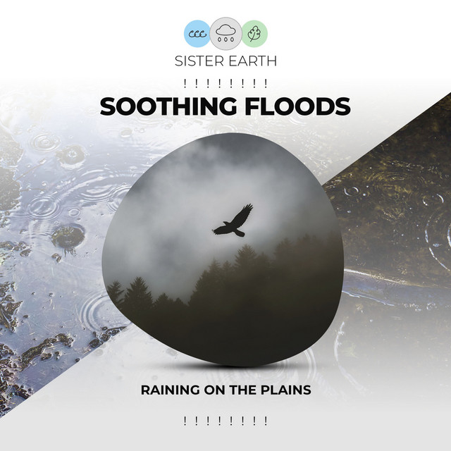 Relieving Rain Showers song and lyrics by Rain Storm Sample Library