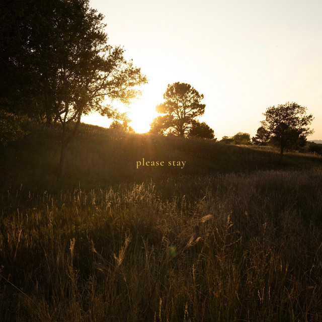 Ethan Jewell please stay Lyrics Genius Lyrics