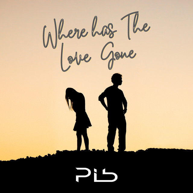 Where Has the Love Gone Single by PIB Spotify