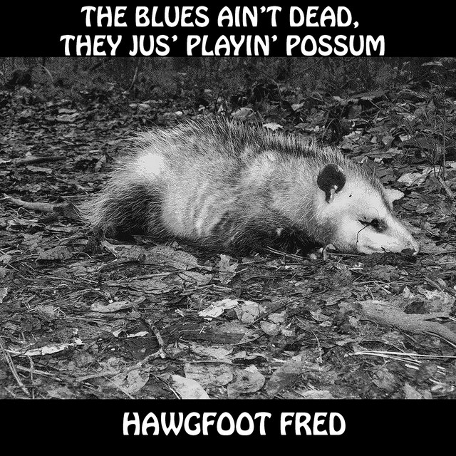 More Cushion for the Pushin' song by Hawgfoot Fred Spotify