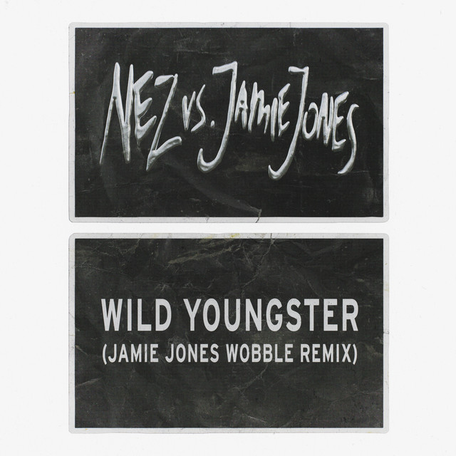 Wild Youngster (feat. ScHoolboy Q) [Jamie Jones' Wobble Remix] Single