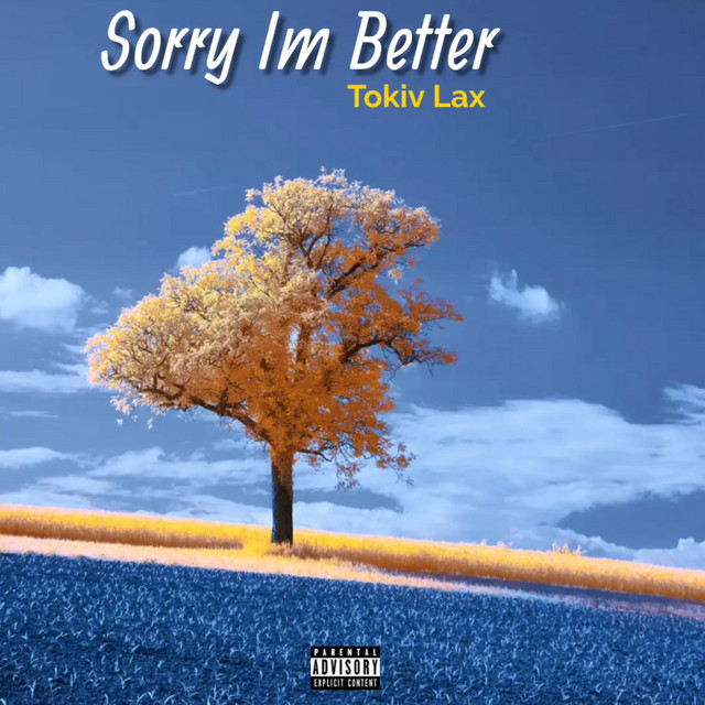 Sorry Im Better Album by Tokiv Lax Spotify