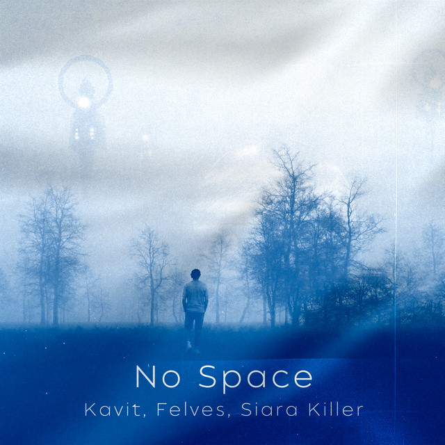 No Space Single by Kavit Spotify
