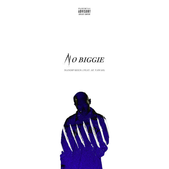 No Biggie (Feat. AP of 42) Single by 732 STT Spotify