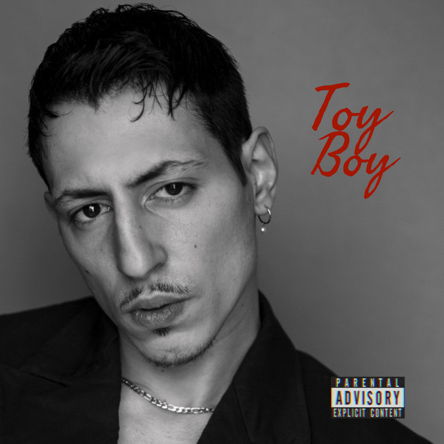 Toy Boy Single by Caracas Papi Spotify