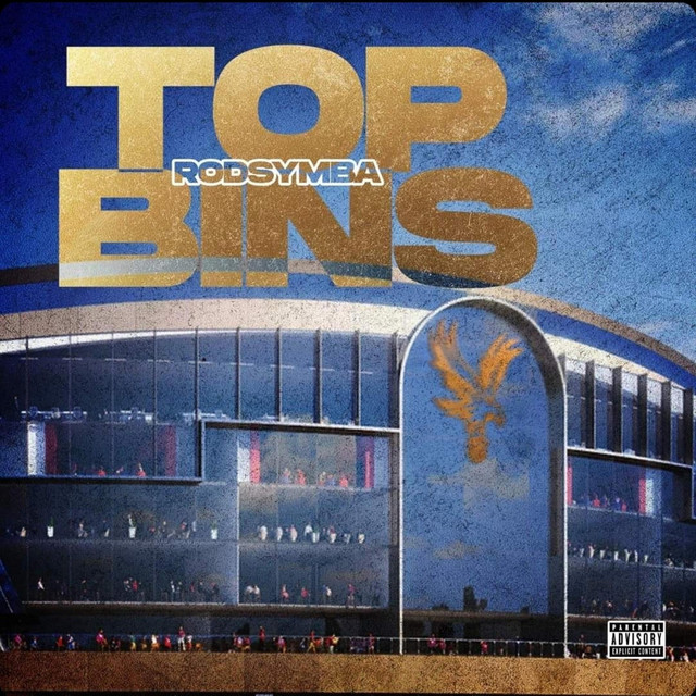 Top Bins Single by RodSymba Spotify
