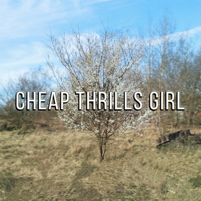 Cheap Thrills Girl Single by Leopold Spotify