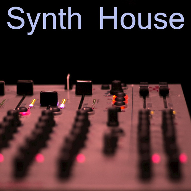 Synth House Single by Benny Shane Spotify